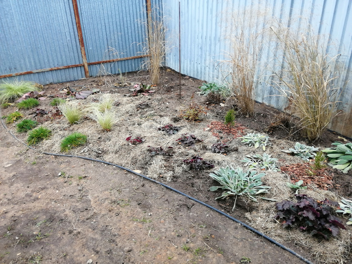 Мульчи мало, но сколько уж есть. 