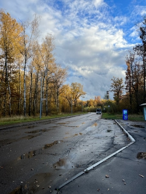 Остановка автобусов в нашем ЖК - тонкая нить связи с цивилизацией. И как тут без авто? 