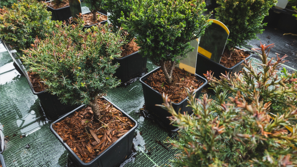 Фото: shutterstock.com