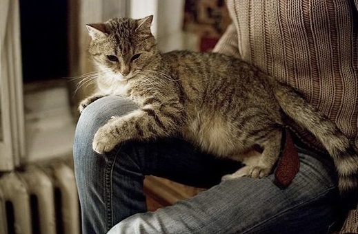 Фото из интернета 