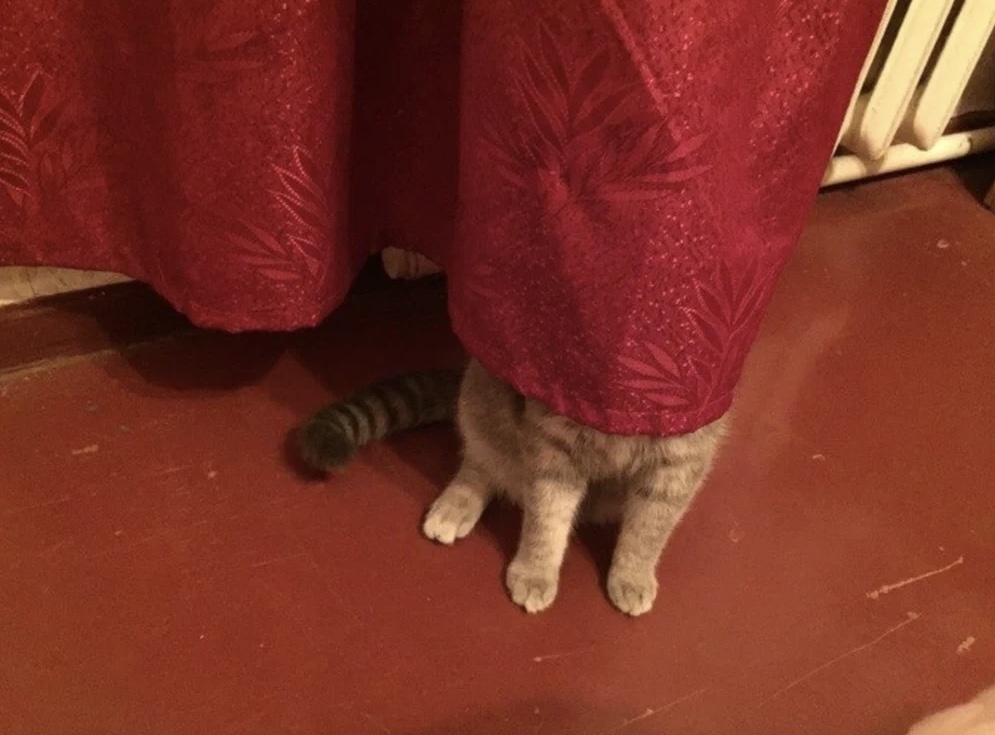 Фото из интернета 