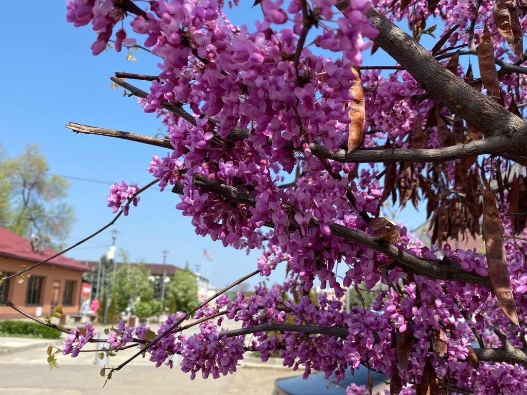   Фото: И. Куницкая. Галина Ященко