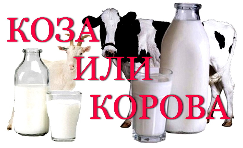 Помогите разобраться!