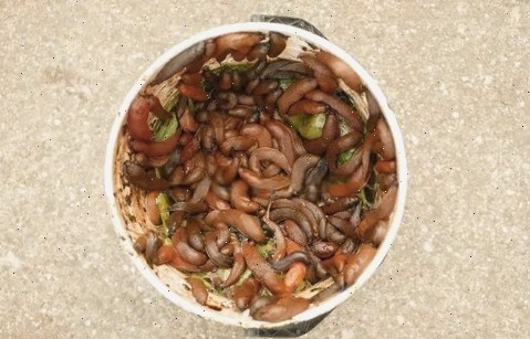 Рис 2. Результат ручного сбора.