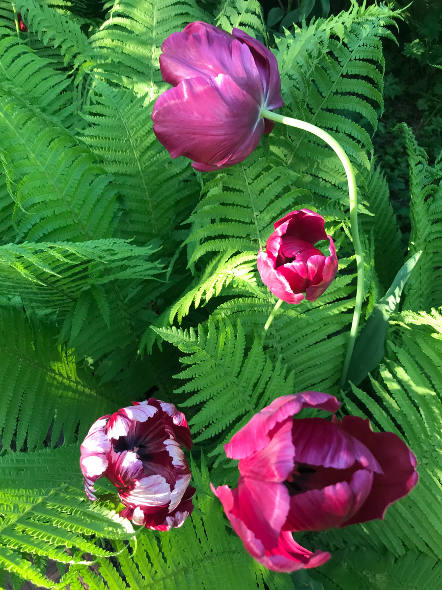 Фото автора