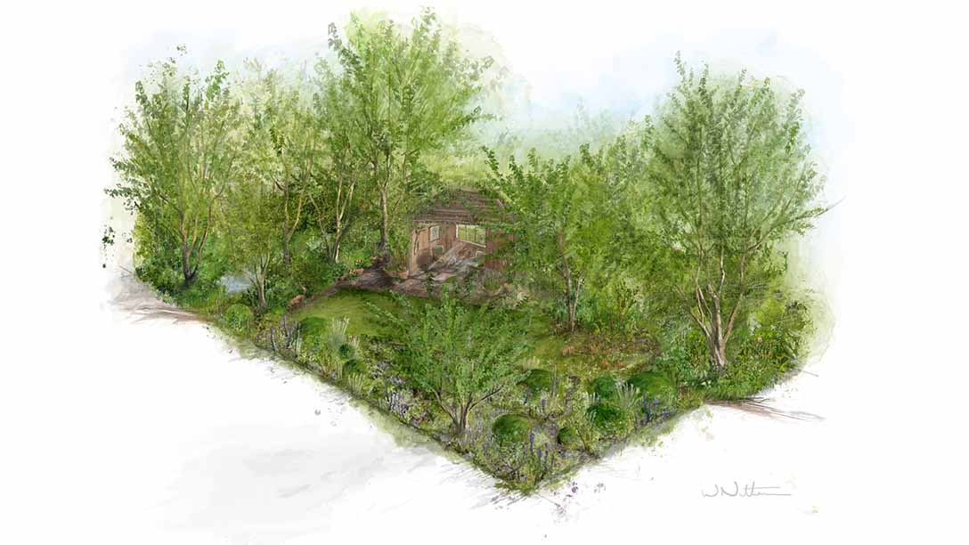 Сад Монти Дона на Цветочном шоу в Челси