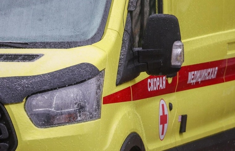    Наталья Шатохина/NEWS.ru