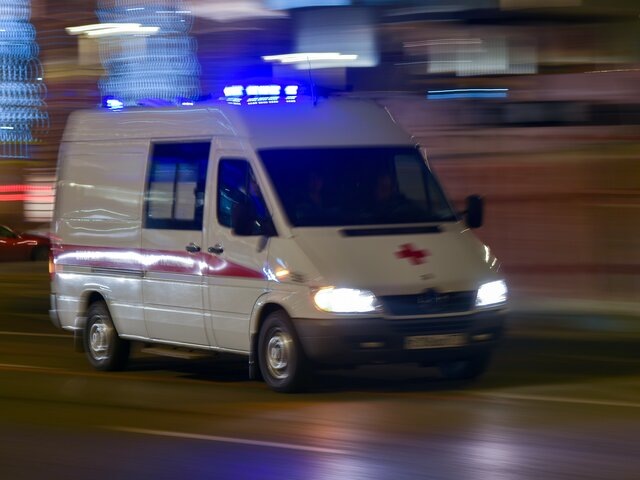    Фото: Москва 24/Антон Великжанин