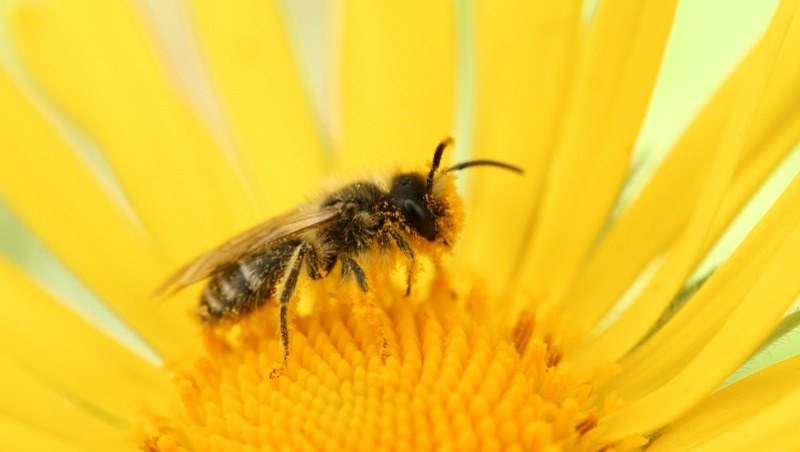 Фото: @chrisdubai / unsplash.com