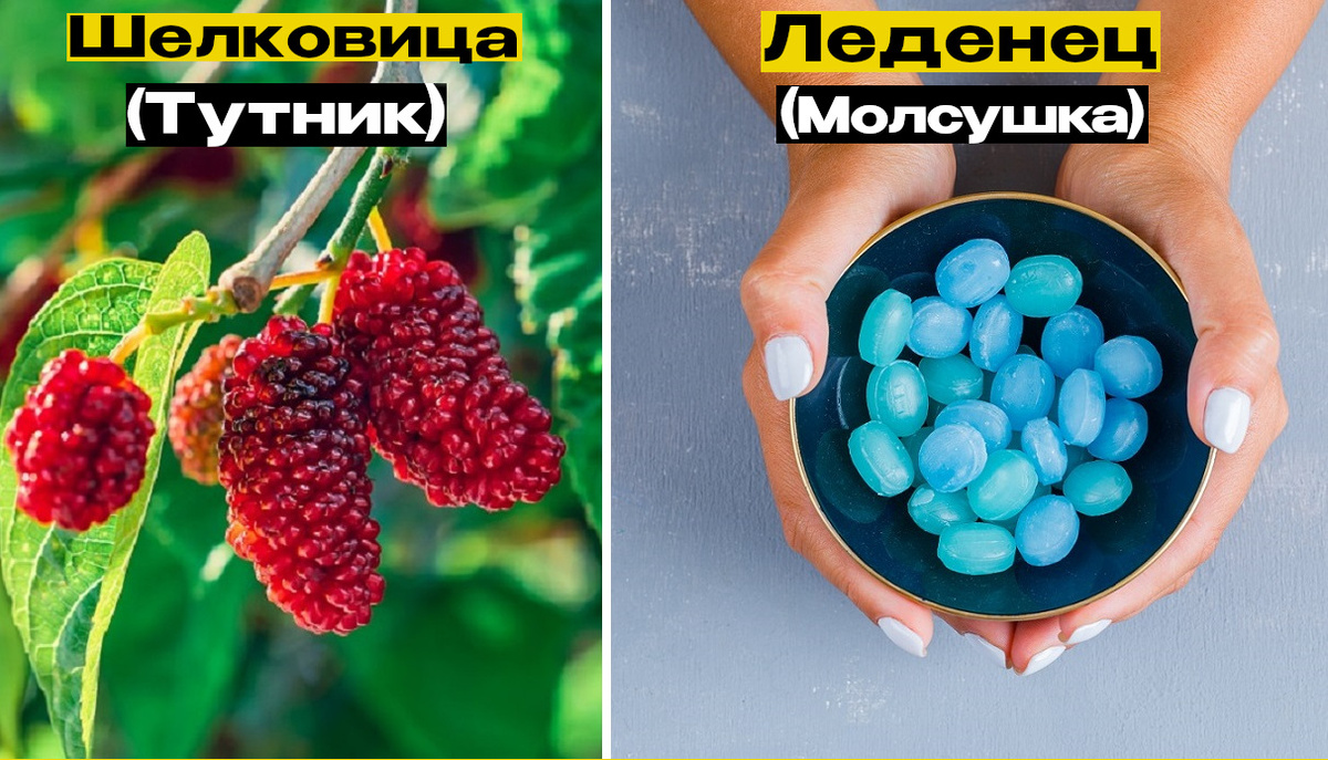 фото от freepik