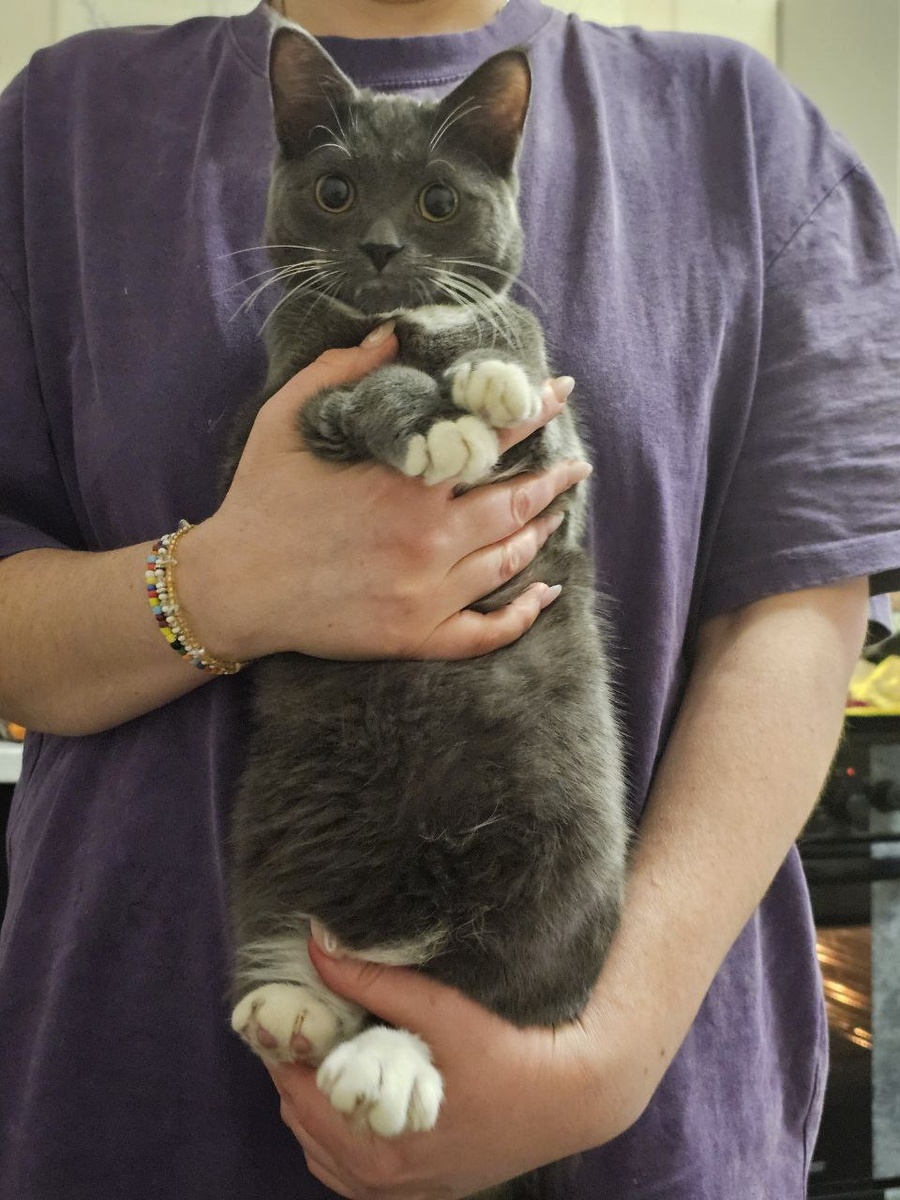 Вот такое пучеглазенькое чудо