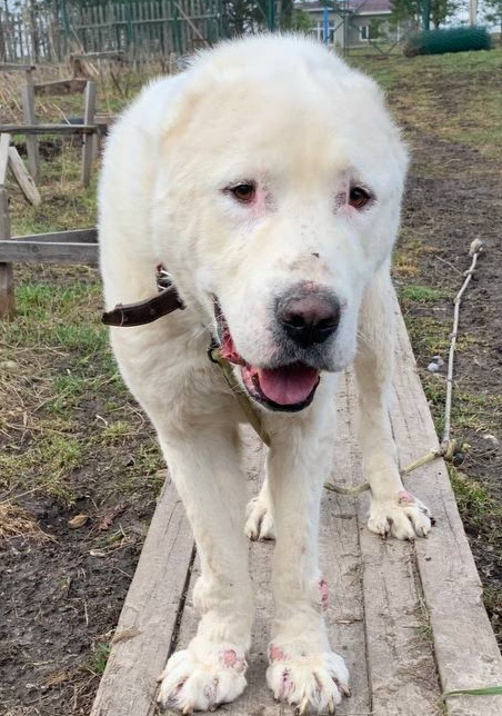 Похоже что привезли и выкинули