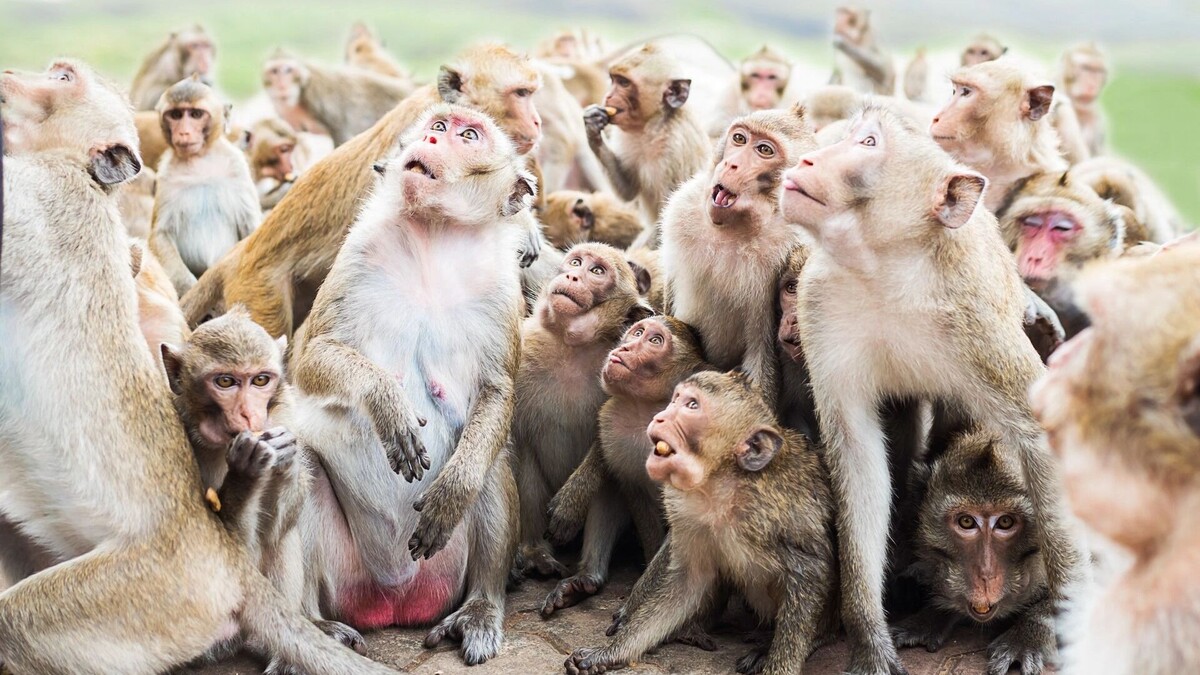     Источник: freepik.com