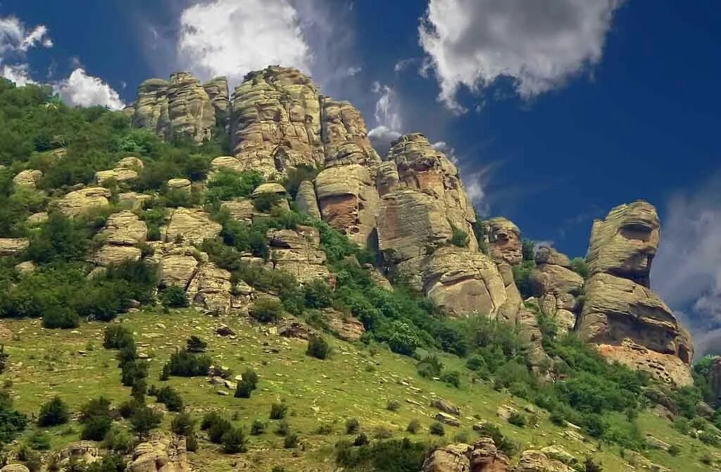 Из свободного доступа в интернете