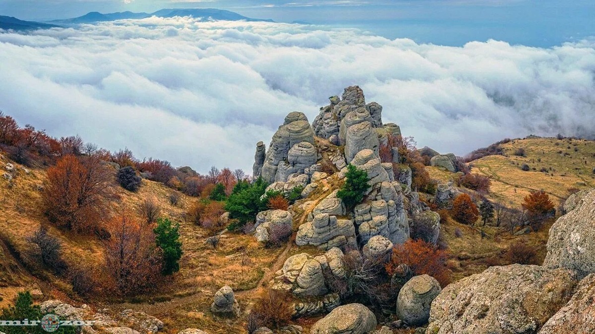 Из свободного доступа в интернете