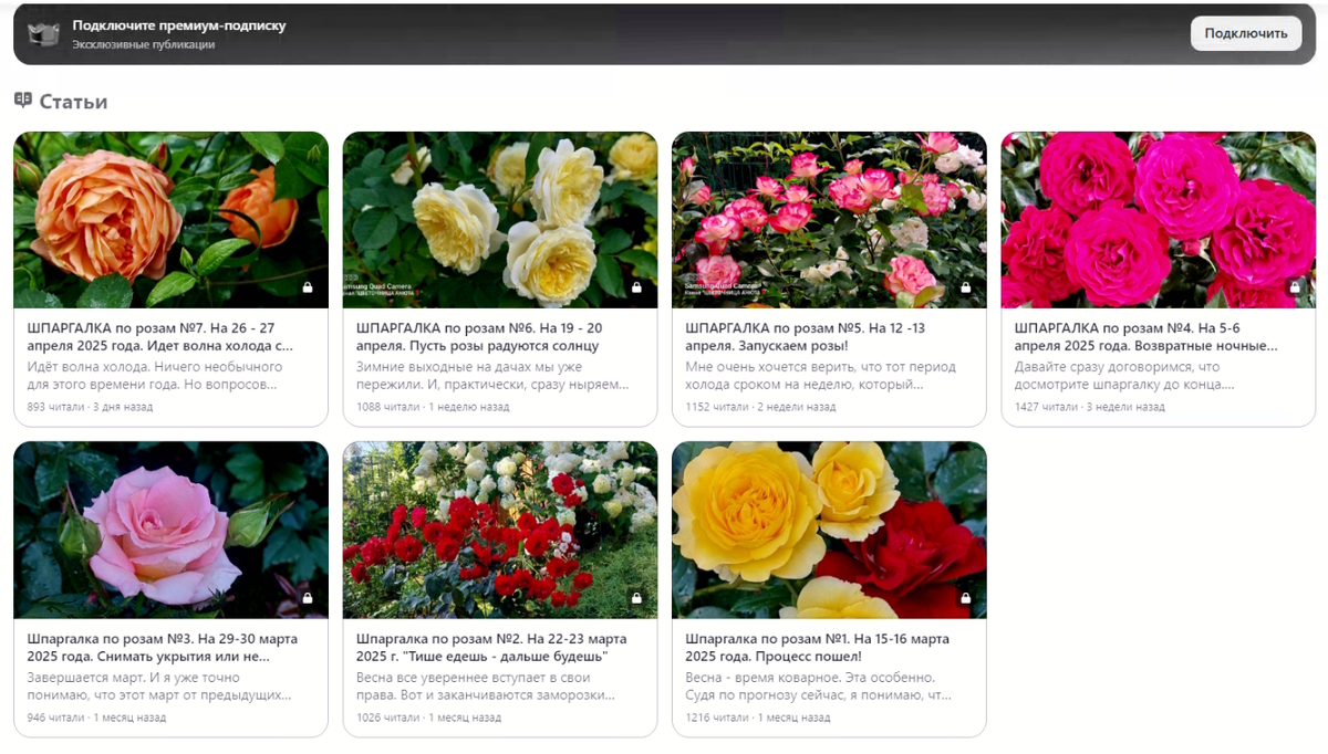 Фрагмент страницы для подключения премиум-подписки