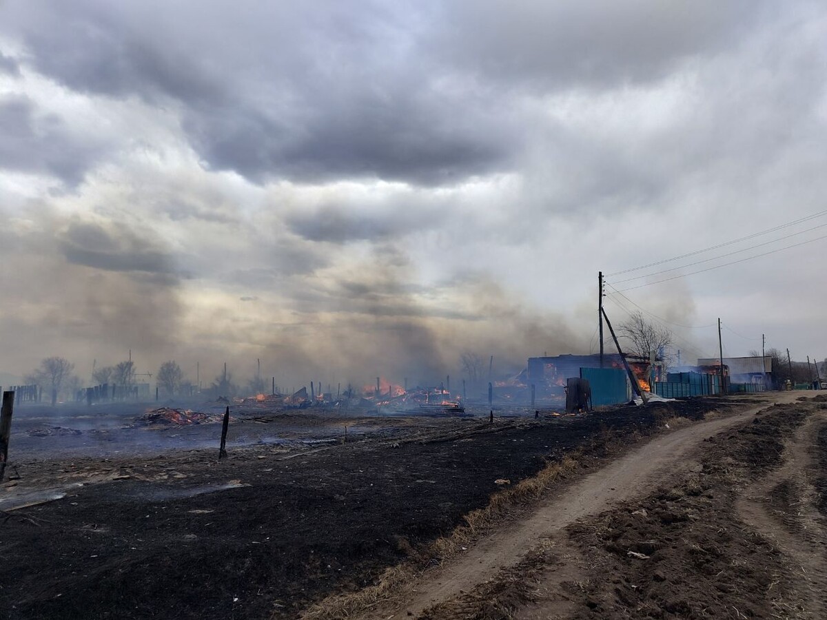    Фото: Telegram-канал Николая Горюнова