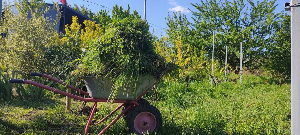 Небольшая прополка