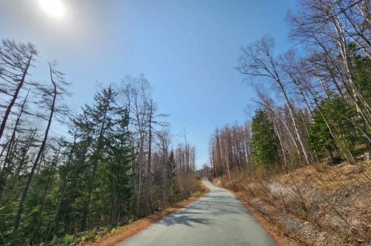    В Южно-Сахалинске днем без существенных осадков, температура +4…+6°С.