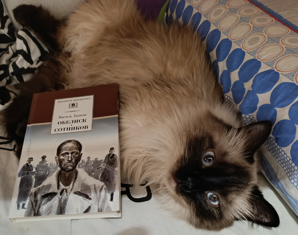 Книгу с двумя замечательными повестями Быкова представляет Джессика. 