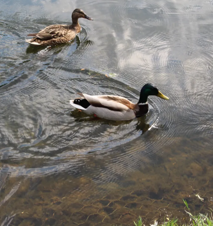 Фото из интернета. 