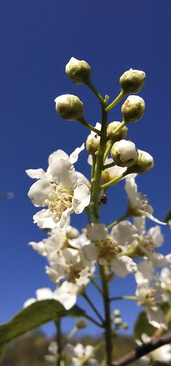 Личное фото