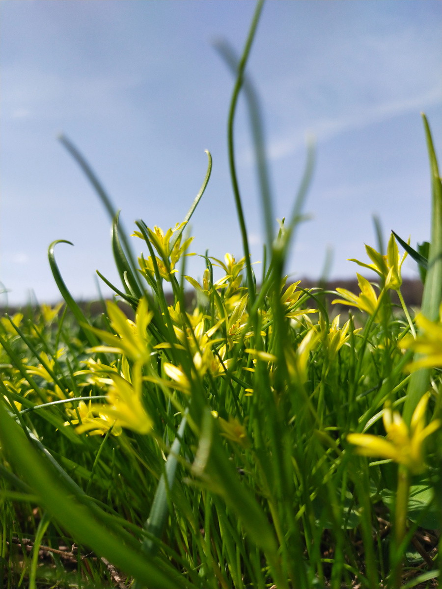 Личное фото