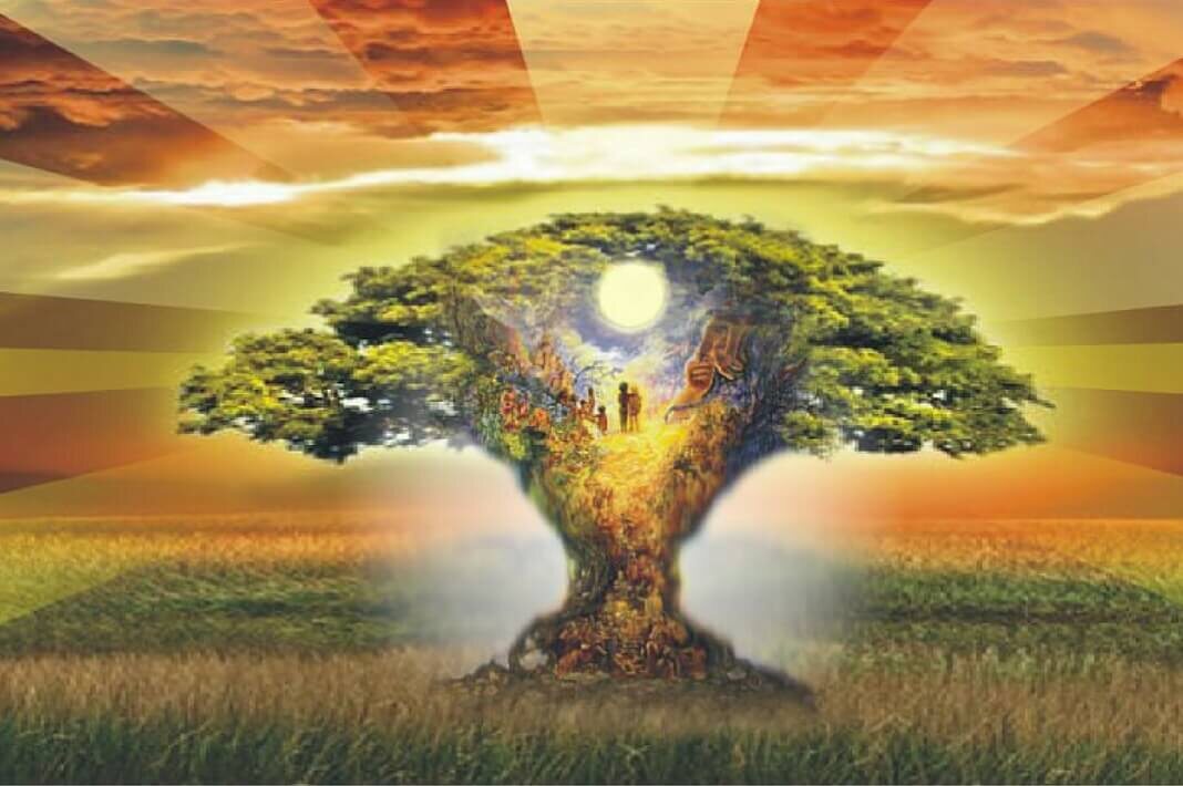 Пояснение: Каждый человек должен понимать и осознавать своё происхождение от Отца Небесного, вспоминать восприятие самого себя как человека Творца, обладающего неограниченными возможностями и талантами, умеющего строить гармоничную реальность. Каждому человеку важно осознанно ценить силу знаний своих предков, раскрывать в себе возможность получать подсказки и ответы на вопросы благодаря взаимодействию с Древом Рода.