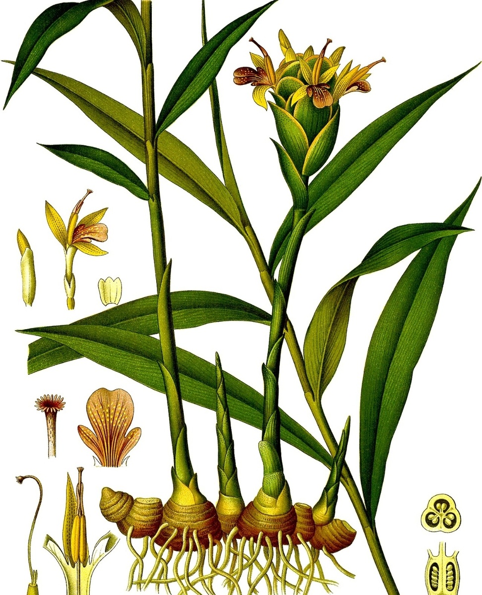 Один из представителей.