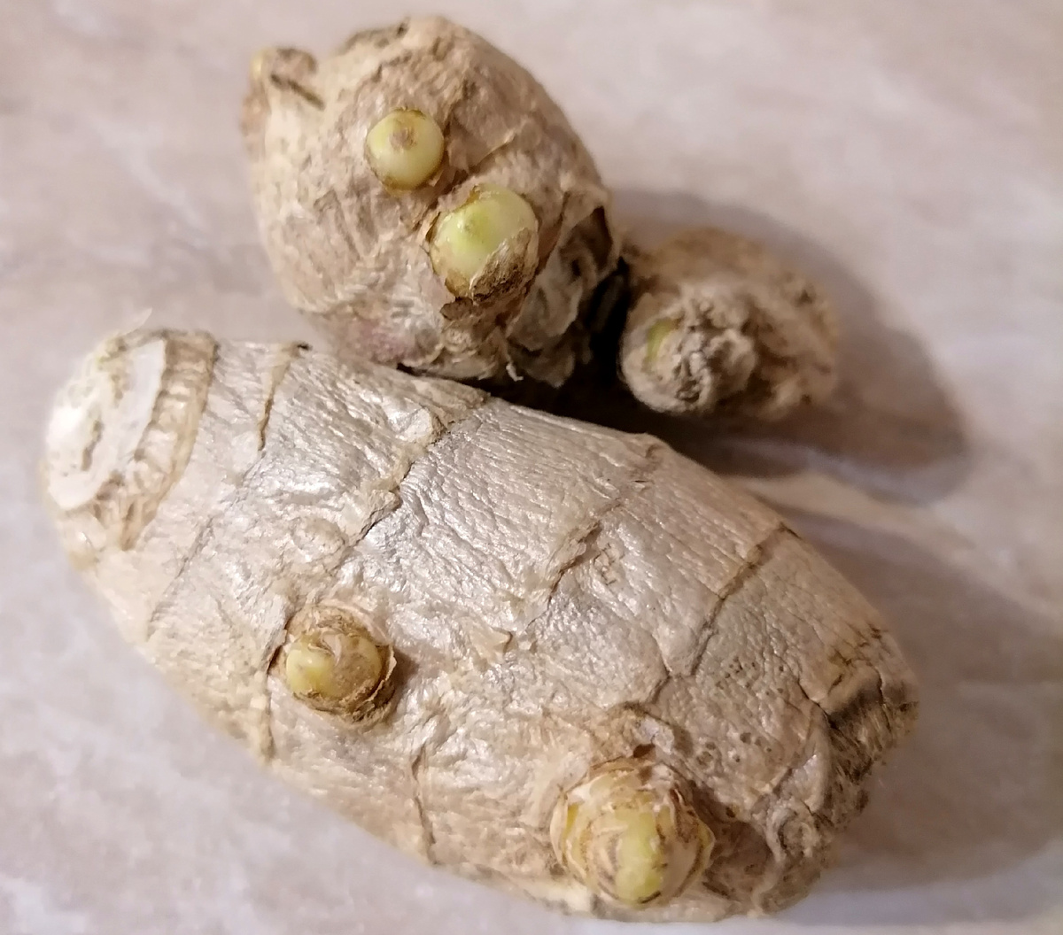 Приобретение в пятёрке.