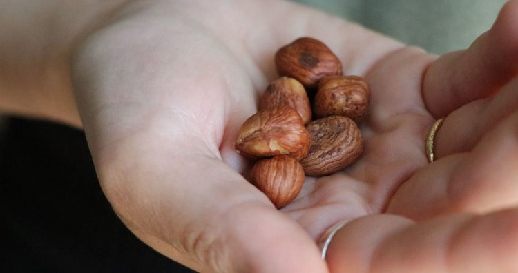    Индустрия фундука получила метод для лучшего определения и сохранения качества популярных орехов