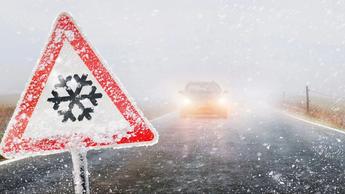    Фото: Igor Link/Shutterstock/Fotodom