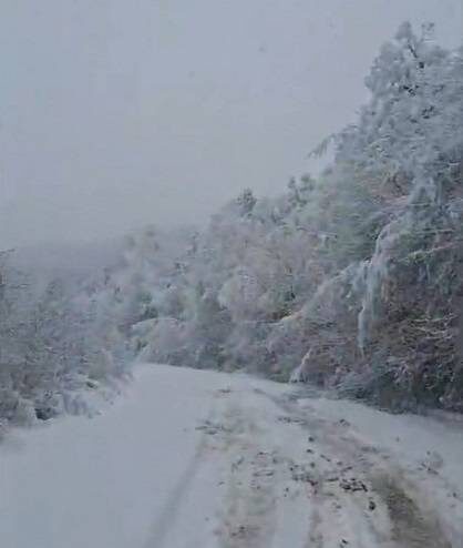    Источник фото: