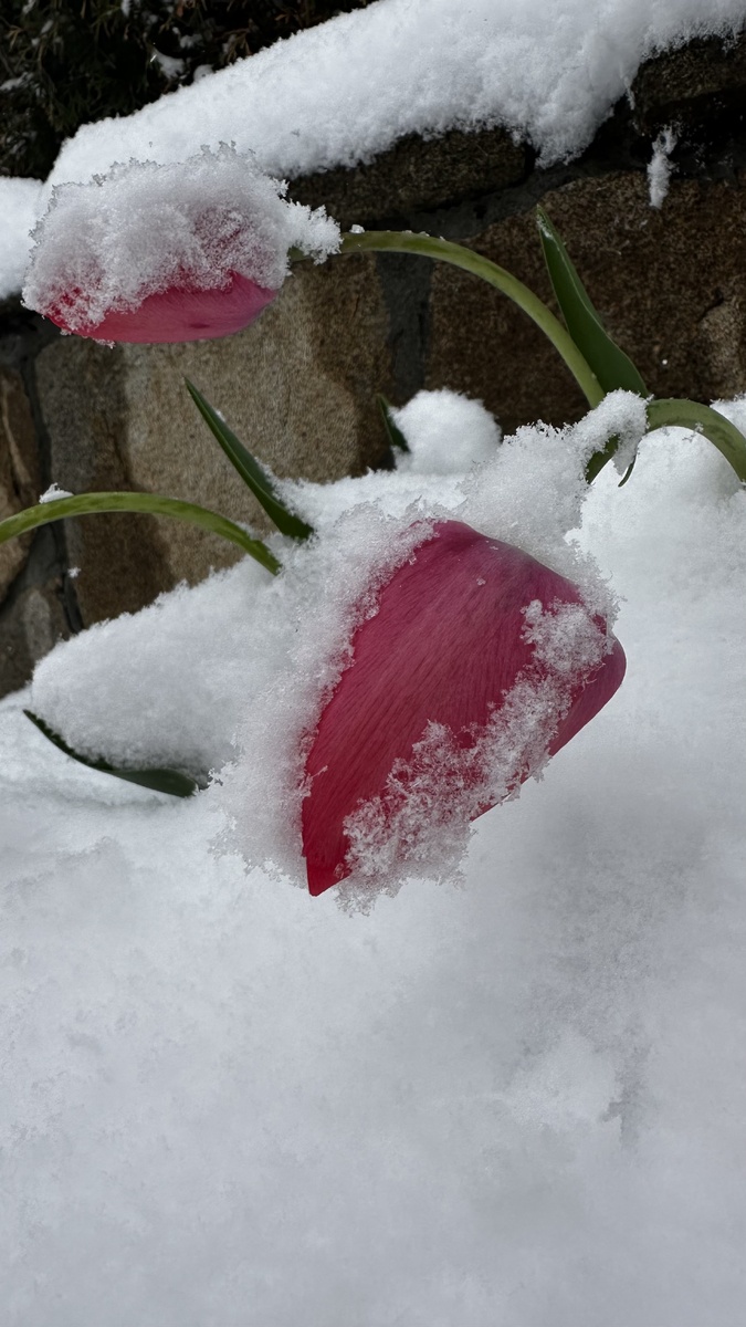 28 апреля 2025 года 