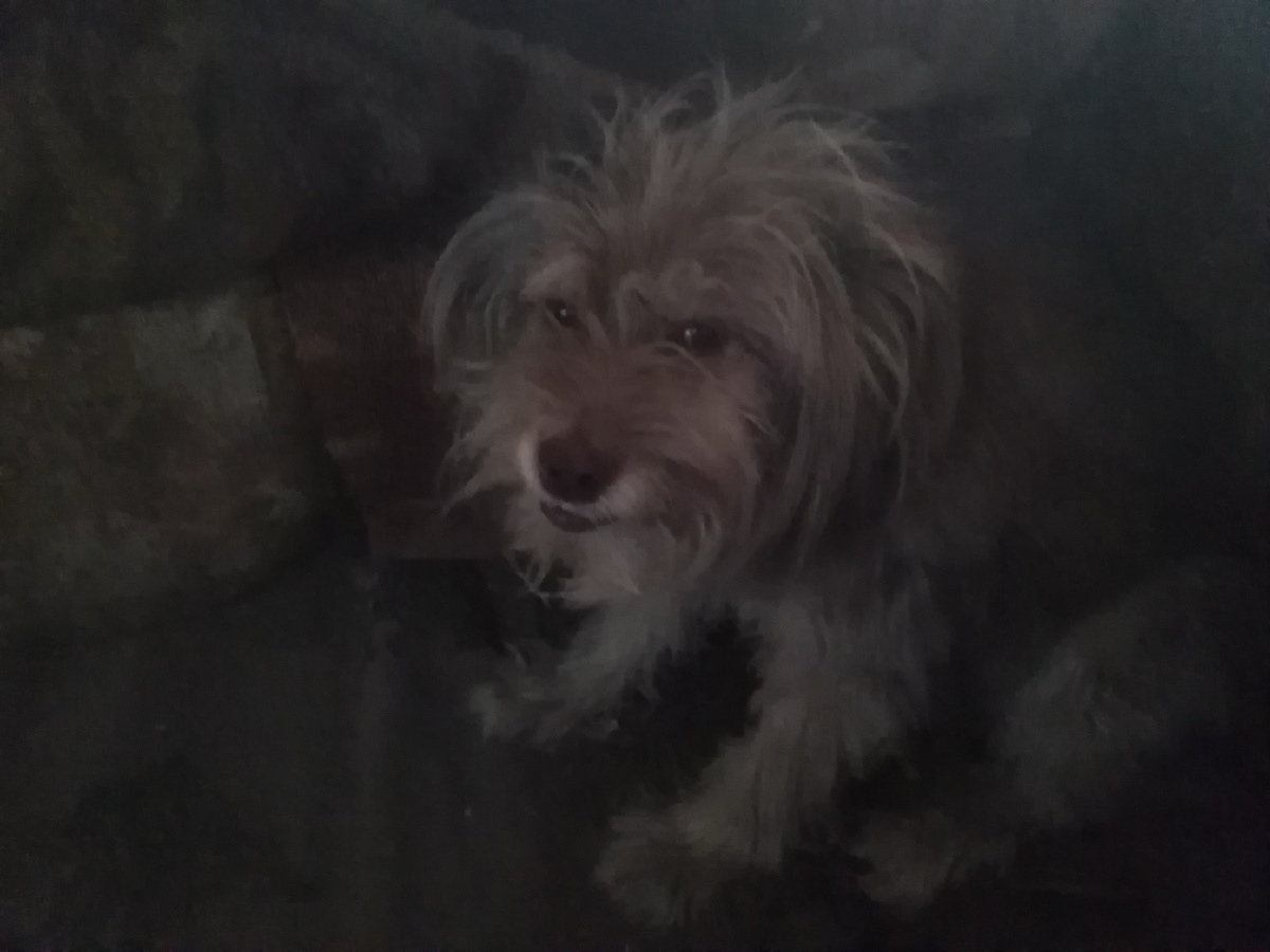 Немой вопрос во взгляде – че те надо? Дай поспать!😂