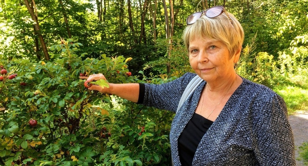 Из архива Наталии Гайдамашко