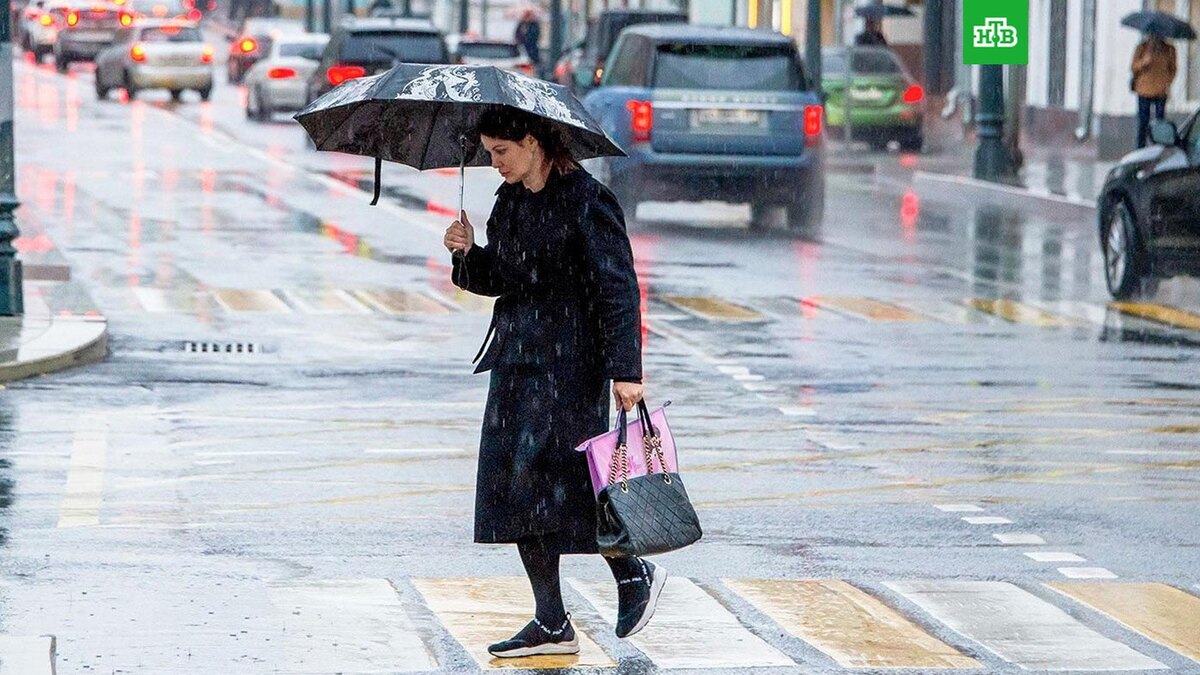    Фото: Ю. Иванко / mos.ru