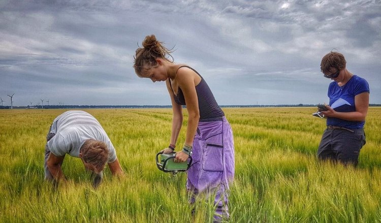    Как почва относится к вспашке на самом деле