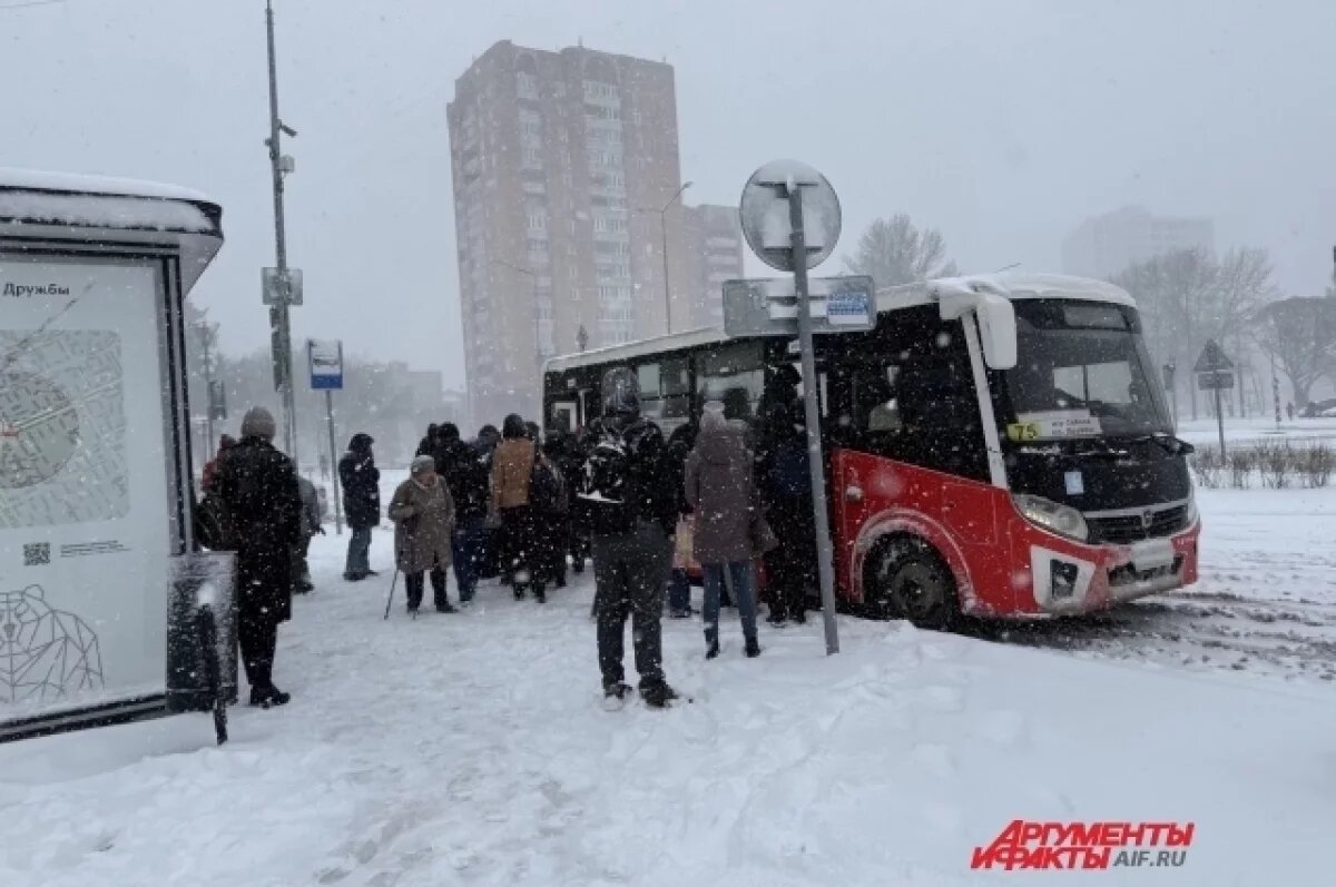    Бесплатные автобусы на Радоницу запустят в Салехарде