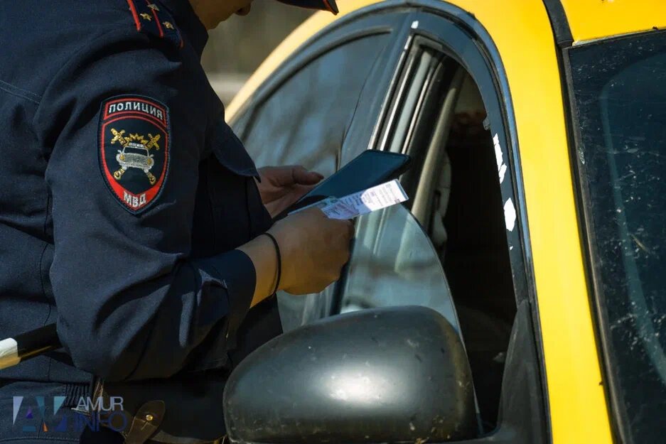    Фото: Амур.инфо