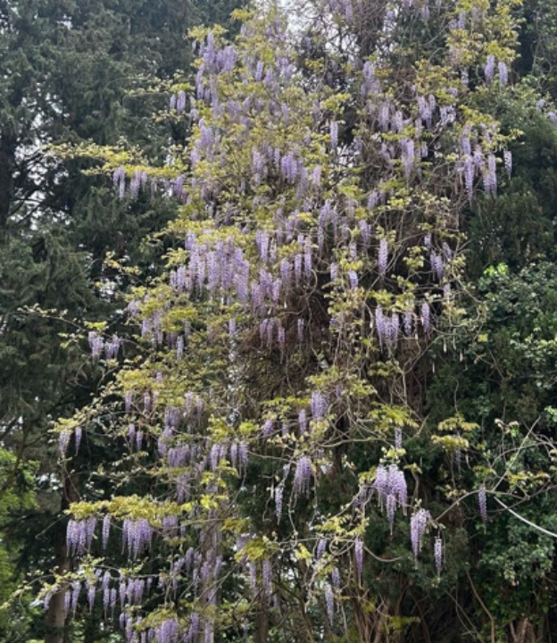 Relax in Sochi! Отдыхай/те в Сочи.