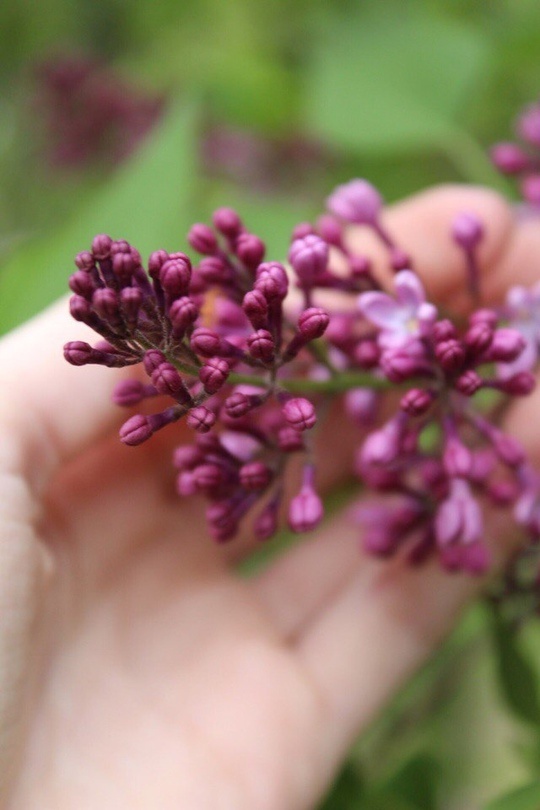    Фото из архива Progorod