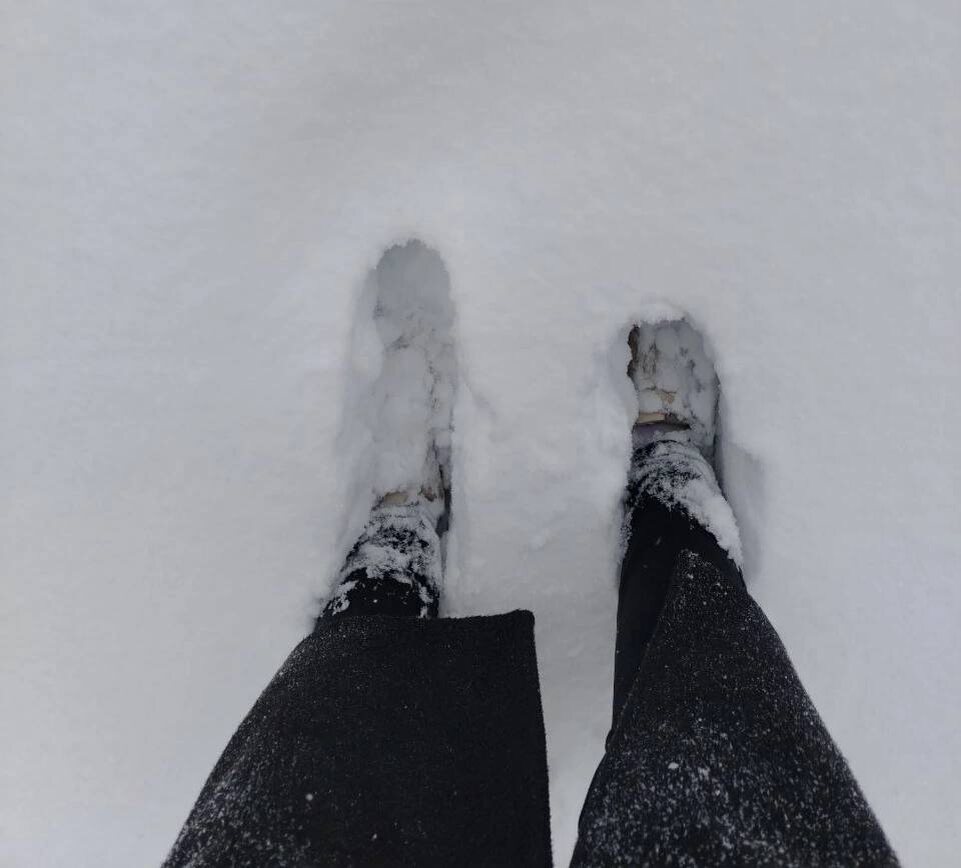    Фото: в курсе.ру Екатерина Устькачкинцева