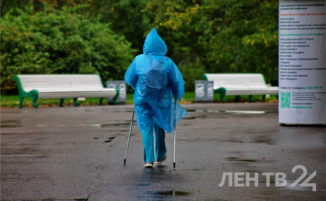    © Анастасия Илюшина для ЛенТВ24