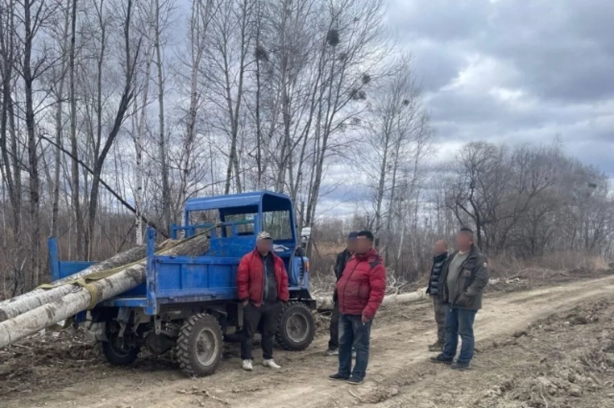    В Хабаровском крае выявили мигрантов-нелегалов на торфяных полях