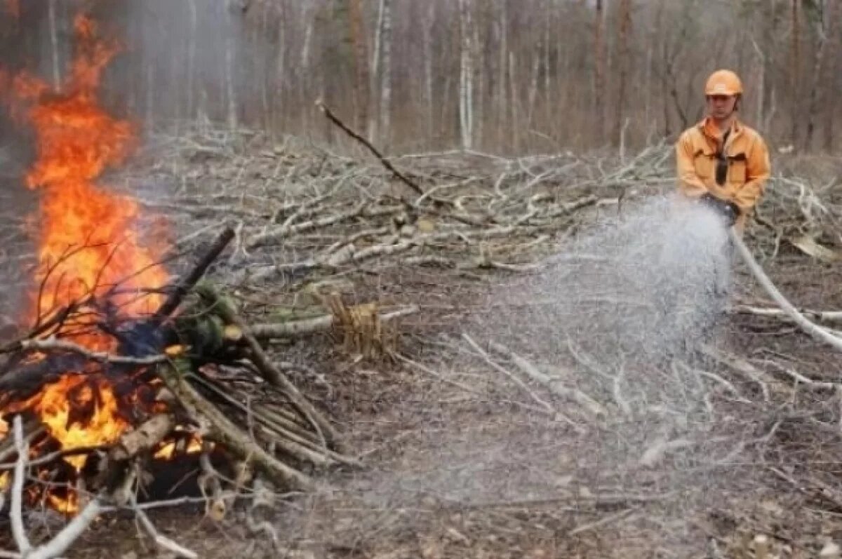    На Дону с 30 апреля введут противопожарный режим