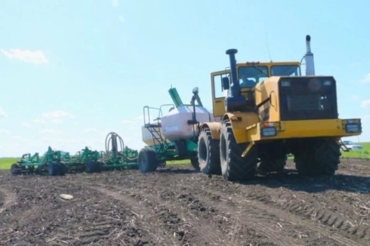    Омский губернатор Хоценко сообщил о начале посевной в регионе