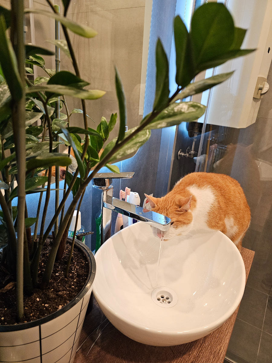 Форма раковины не дает коту забраться внутрь👍 Отличное решение проблемы получилось. 