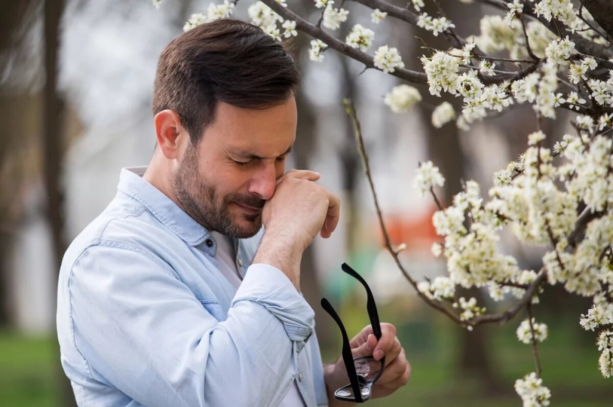   Эксперт Чудаков: аллергикам лучше избегать берёзовых рощ в начале мая
