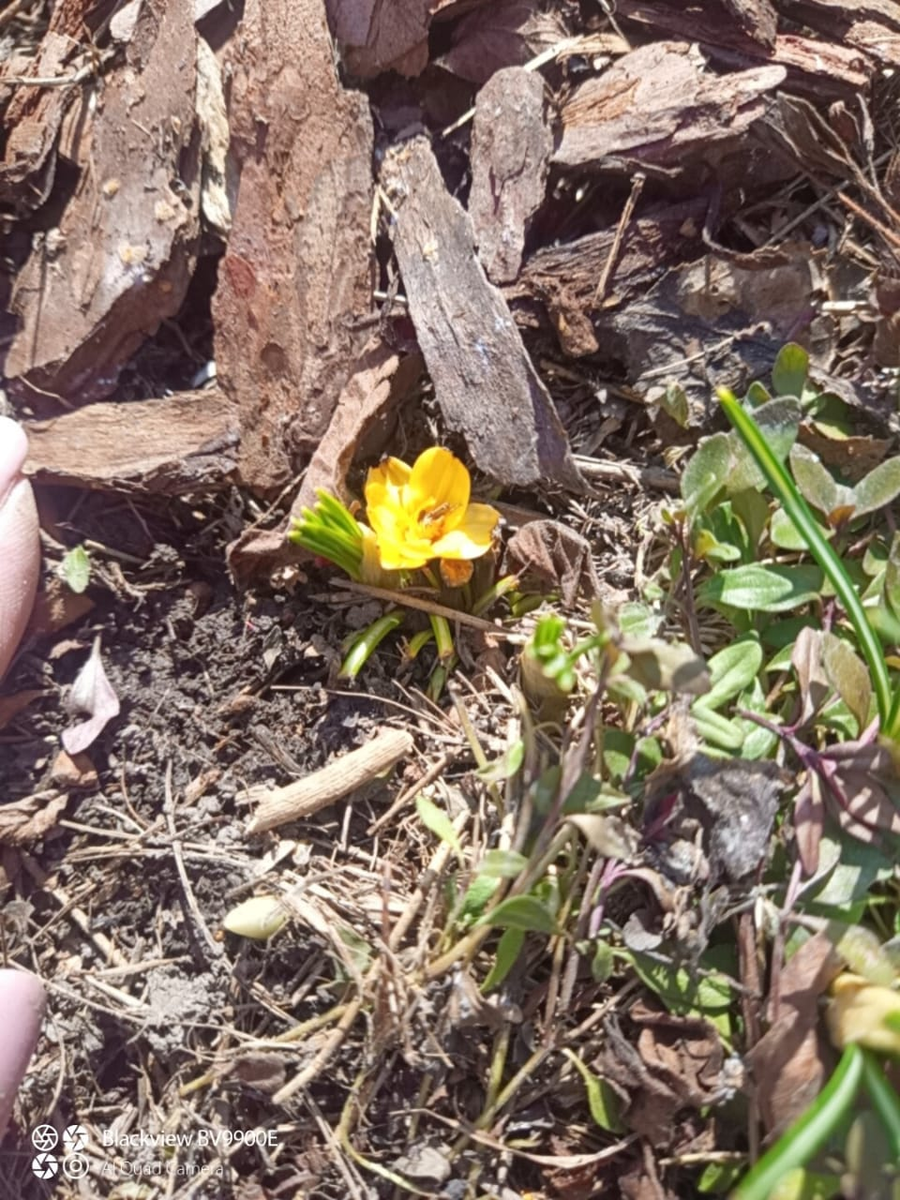 8 апреля 2025, жизнь продолждается!